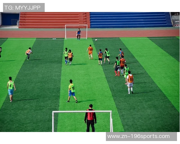 南特足球俱乐部的辉煌历程与未来展望：一支球队的梦想与坚持